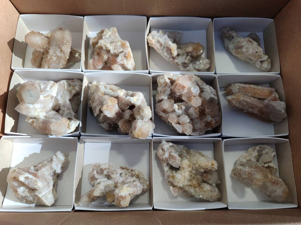 Natural Fairy Spirit Quartz Clusters x 12 From Boekenhouthoek, South Africa - Toprock Gemstones and Minerals 