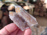 Natural Fairy Spirit Quartz Clusters x 12 From Boekenhouthoek, South Africa - Toprock Gemstones and Minerals 
