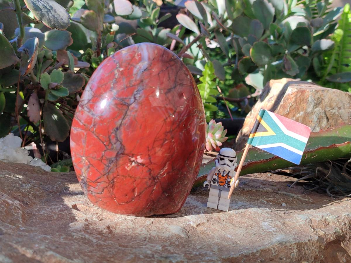 Polished Red Jasper Standing Free Forms x 2 From Madagascar - Toprock Gemstones and Minerals 