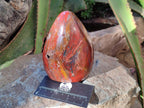 Polished Red Jasper Standing Free Forms x 2 From Madagascar - Toprock Gemstones and Minerals 