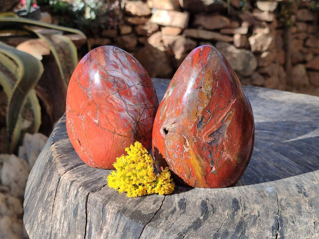 Polished Red Jasper Standing Free Forms x 2 From Madagascar - Toprock Gemstones and Minerals 