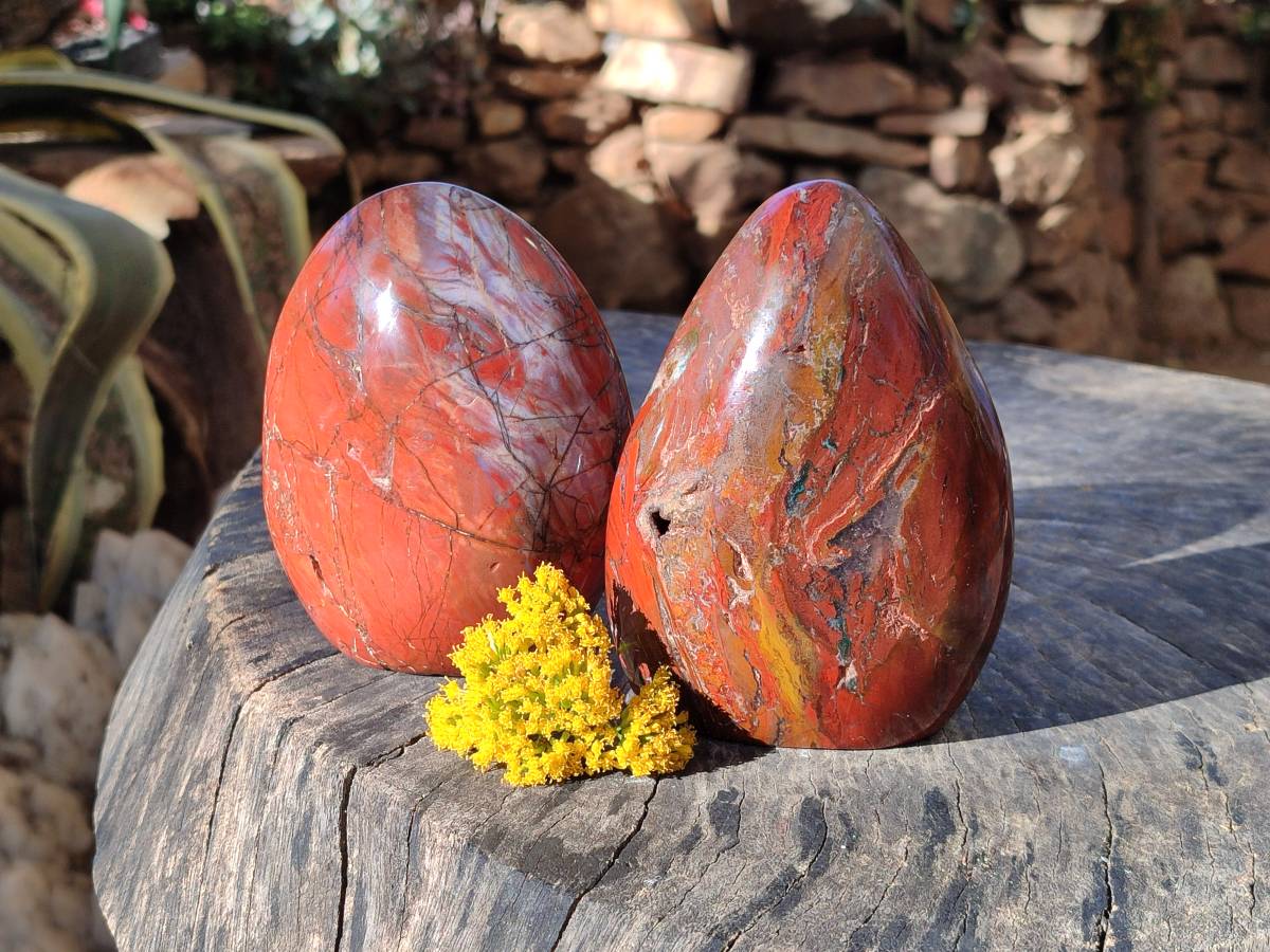 Polished Red Jasper Standing Free Forms x 2 From Madagascar - Toprock Gemstones and Minerals 