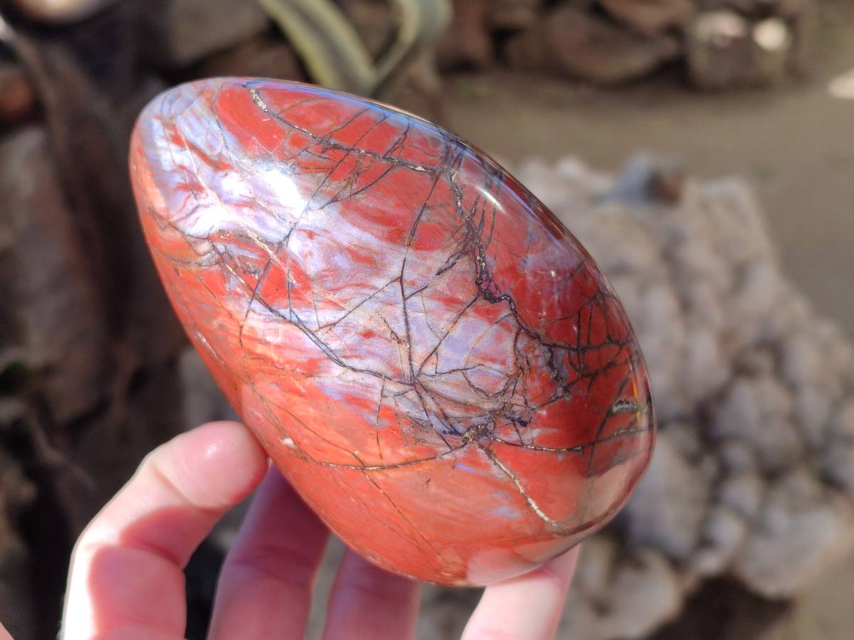 Polished Red Jasper Standing Free Forms x 2 From Madagascar - Toprock Gemstones and Minerals 