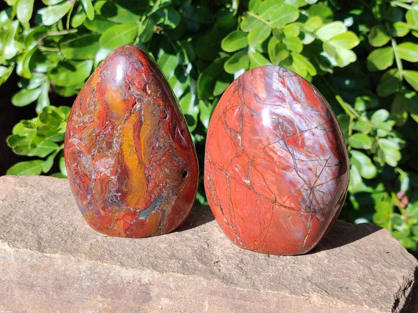 Polished Red Jasper Standing Free Forms x 2 From Madagascar