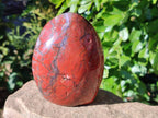 Polished Red Jasper Standing Free Forms x 2 From Madagascar - Toprock Gemstones and Minerals 