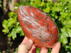 Polished Red Jasper Standing Free Forms x 2 From Madagascar - Toprock Gemstones and Minerals 