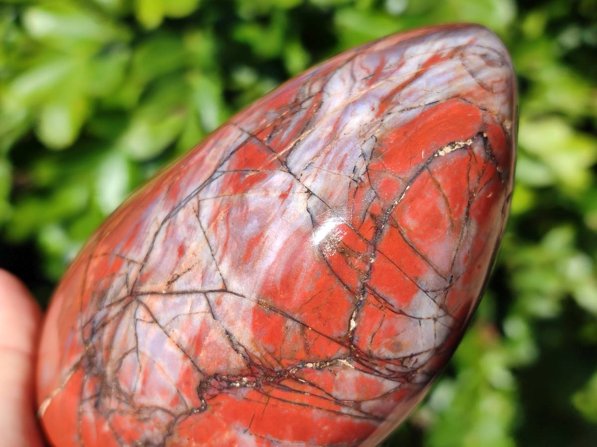 Polished Red Jasper Standing Free Forms x 2 From Madagascar - Toprock Gemstones and Minerals 