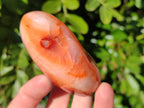 Polished Carnelian Agate Standing Free Forms x 6 From Madagascar - Toprock Gemstones and Minerals 