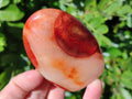 Polished Carnelian Agate Standing Free Forms x 6 From Madagascar - Toprock Gemstones and Minerals 