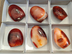 Polished Carnelian Agate Standing Free Forms x 6 From Madagascar - Toprock Gemstones and Minerals 