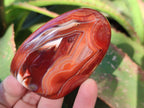 Polished Carnelian Agate Standing Free Forms x 6 From Madagascar - Toprock Gemstones and Minerals 