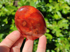 Polished Carnelian Agate Standing Free Forms x 6 From Madagascar - Toprock Gemstones and Minerals 