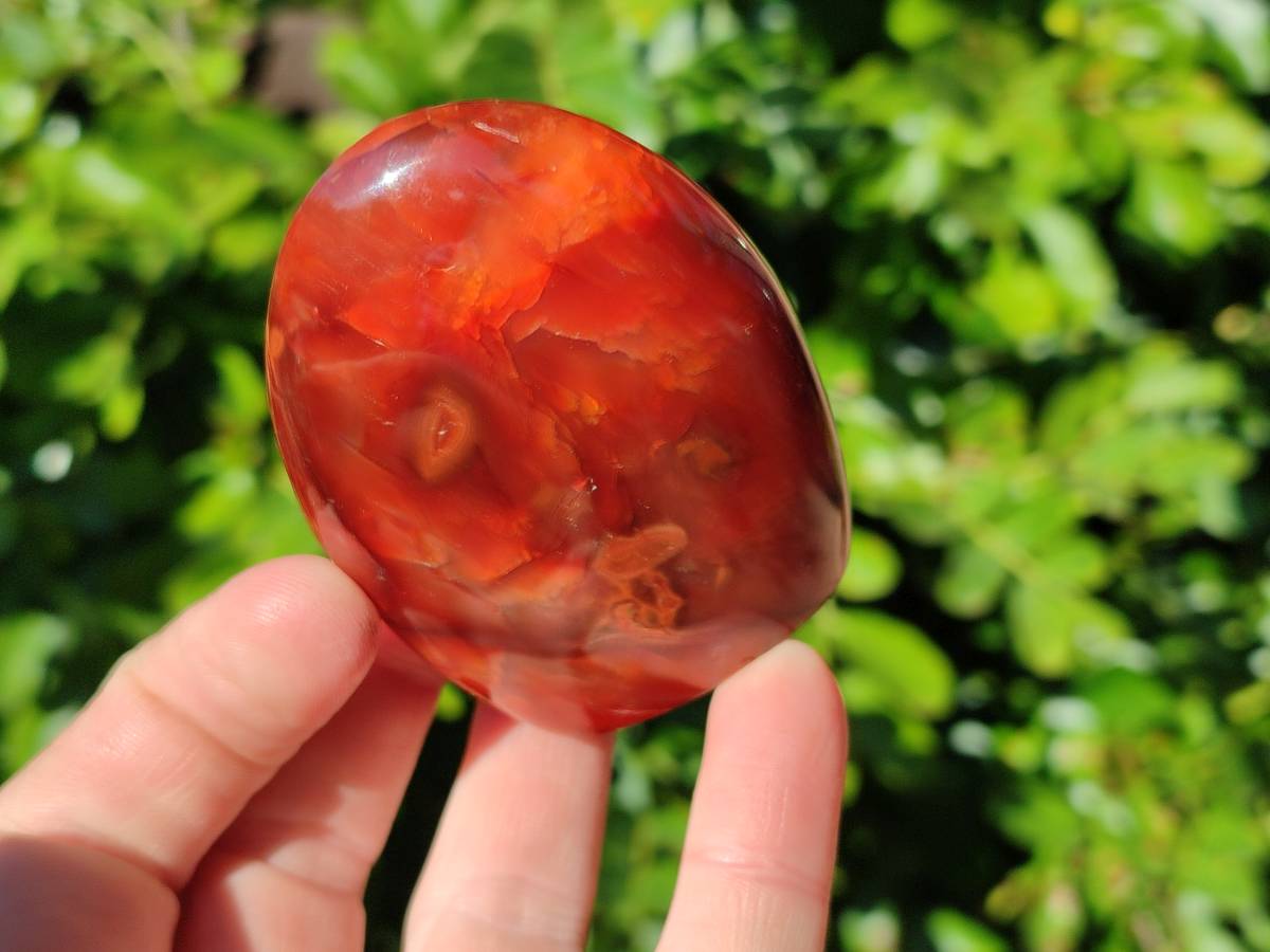 Polished Carnelian Agate Standing Free Forms x 6 From Madagascar - Toprock Gemstones and Minerals 