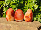 Polished Carnelian Agate Standing Free Forms x 6 From Madagascar - Toprock Gemstones and Minerals 