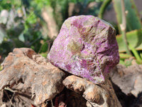 Natural Stichtite Cobbed Specimens x 12 From Barberton, South Africa - Toprock Gemstones and Minerals 