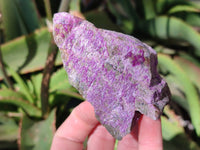 Natural Stichtite Cobbed Specimens x 12 From Barberton, South Africa - Toprock Gemstones and Minerals 