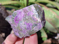 Natural Stichtite Cobbed Specimens x 12 From Barberton, South Africa - Toprock Gemstones and Minerals 
