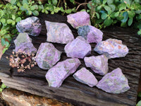 Natural Stichtite Cobbed Specimens x 12 From Barberton, South Africa - Toprock Gemstones and Minerals 