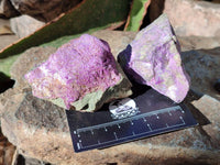 Natural Stichtite Cobbed Specimens x 12 From Barberton, South Africa - Toprock Gemstones and Minerals 
