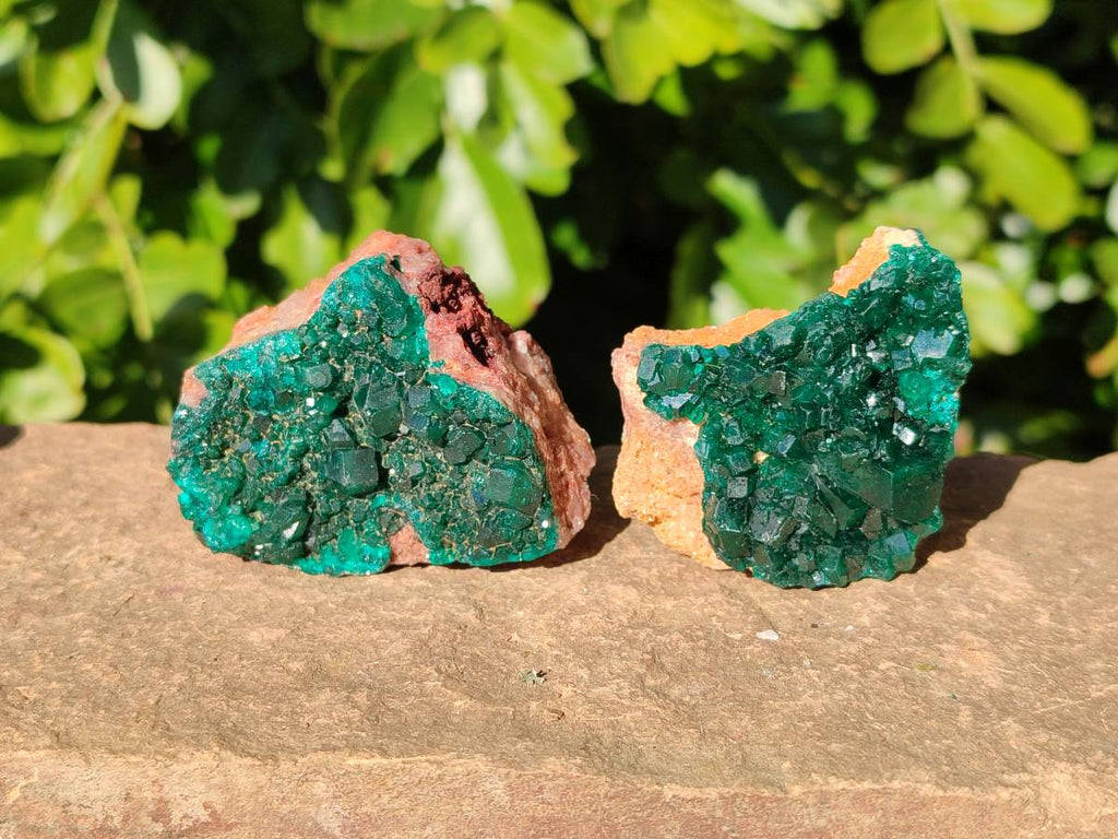 Natural Dioptase on Dolomite Matrix Specimens x 6 From Likasi, Congo - Toprock Gemstones and Minerals 