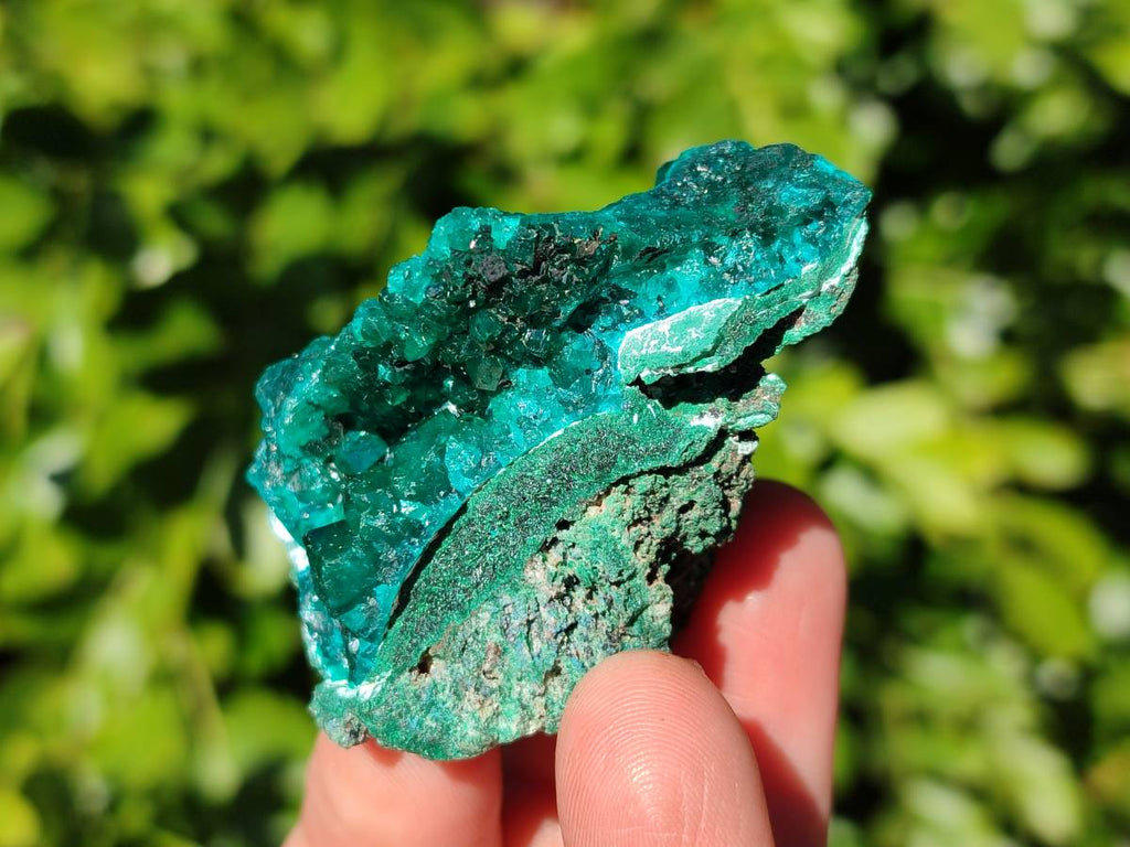 Natural Dioptase on Dolomite Matrix Specimens x 6 From Likasi, Congo - Toprock Gemstones and Minerals 