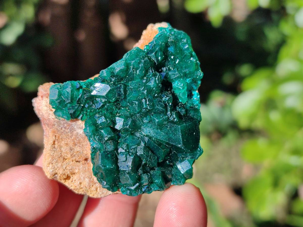 Natural Dioptase on Dolomite Matrix Specimens x 6 From Likasi, Congo - Toprock Gemstones and Minerals 