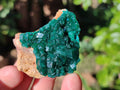Natural Dioptase on Dolomite Matrix Specimens x 6 From Likasi, Congo - Toprock Gemstones and Minerals 