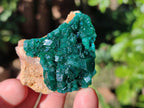 Natural Dioptase on Dolomite Matrix Specimens x 6 From Likasi, Congo - Toprock Gemstones and Minerals 