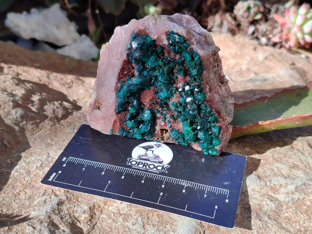 Natural Dioptase on Dolomite Matrix Specimens x 6 From Likasi, Congo - Toprock Gemstones and Minerals 