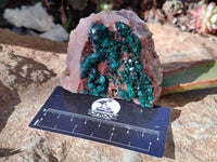 Natural Dioptase on Dolomite Matrix Specimens x 6 From Likasi, Congo