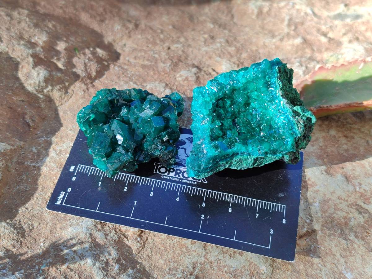 Natural Dioptase on Dolomite Matrix Specimens x 6 From Likasi, Congo - Toprock Gemstones and Minerals 