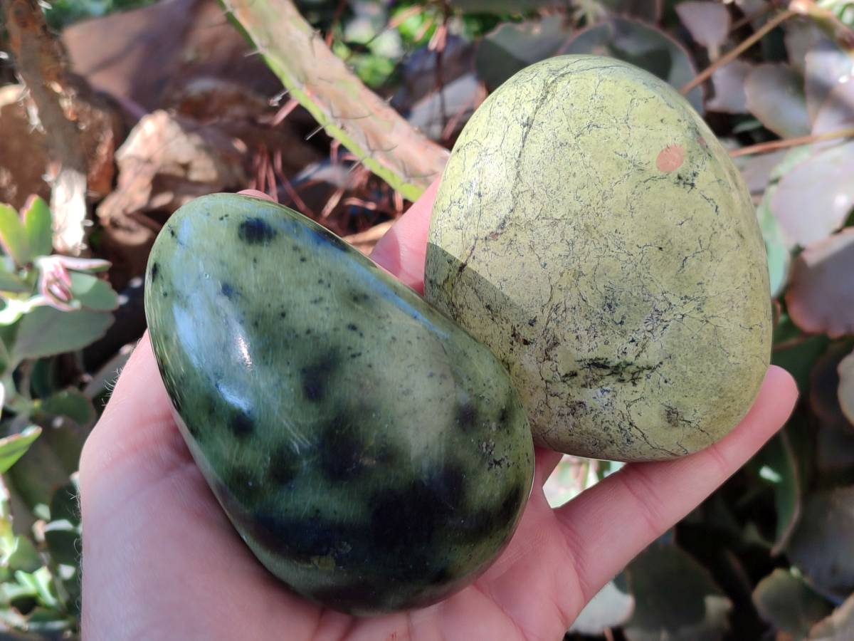 Polished Leopard Stone Free Forms x 4 From Nyanga, Zimbabwe - Toprock Gemstones and Minerals 