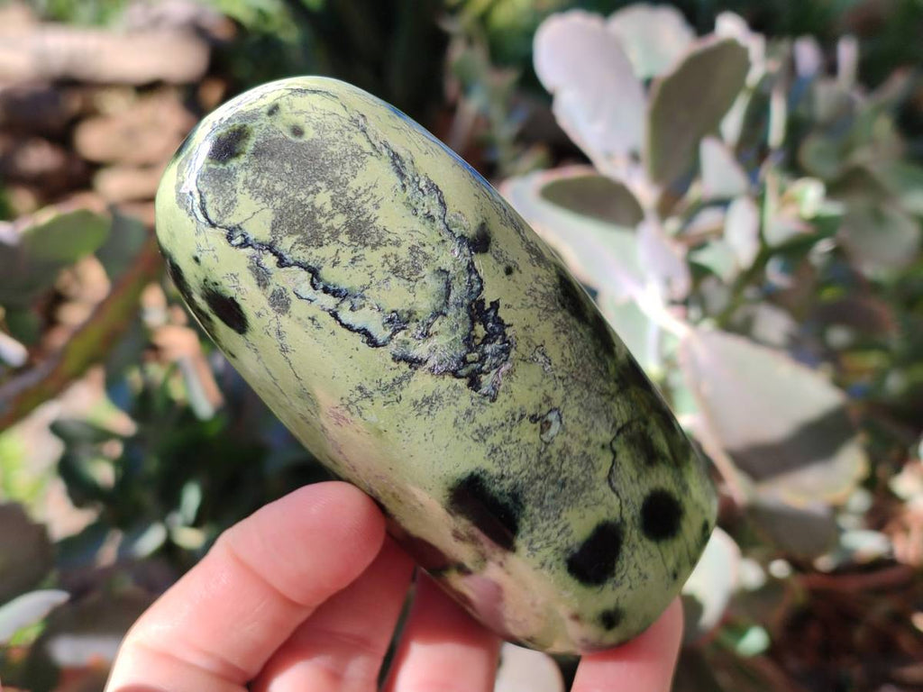 Polished Leopard Stone Free Forms x 4 From Nyanga, Zimbabwe - Toprock Gemstones and Minerals 