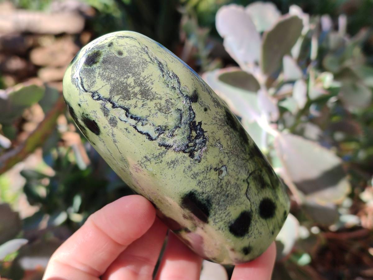 Polished Leopard Stone Free Forms x 4 From Nyanga, Zimbabwe - Toprock Gemstones and Minerals 