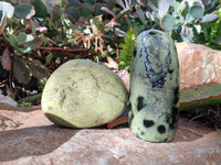 Polished Leopard Stone Free Forms x 4 From Nyanga, Zimbabwe - Toprock Gemstones and Minerals 