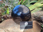 Polished Black Basalt Sphere With Stand x 1 From Madagascar - Toprock Gemstones and Minerals 