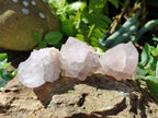 Natural Mixed Spirit Quartz Crystals x 35 From Boekenhouthoek, South Africa - Toprock Gemstones and Minerals 