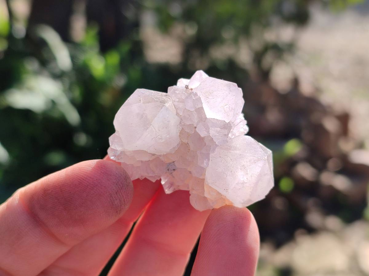 Natural Mixed Spirit Quartz Crystals x 35 From Boekenhouthoek, South Africa - Toprock Gemstones and Minerals 