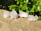 Natural Mixed Spirit Quartz Crystals x 35 From Boekenhouthoek, South Africa - Toprock Gemstones and Minerals 