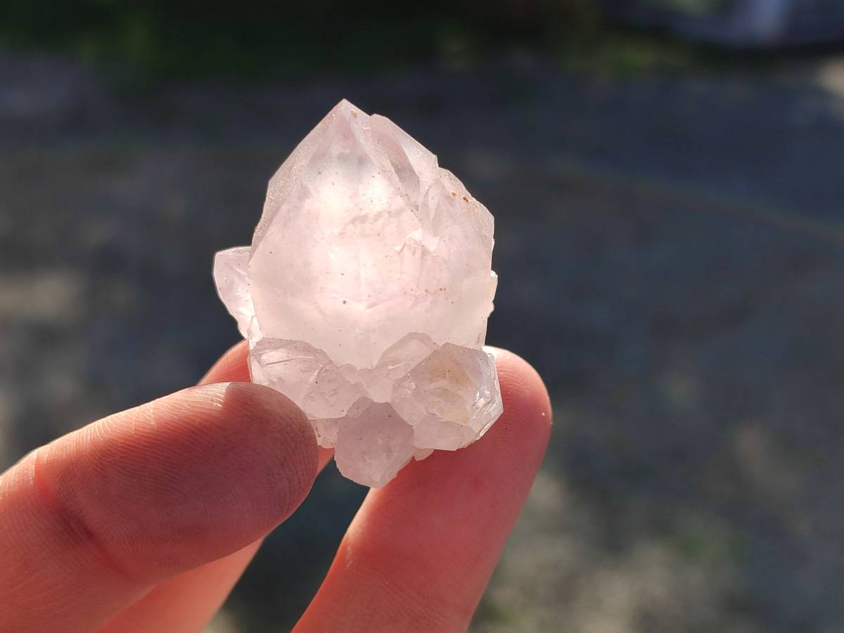 Natural Mixed Spirit Quartz Crystals x 35 From Boekenhouthoek, South Africa - Toprock Gemstones and Minerals 
