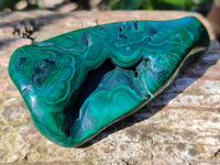 Polished Flower Banded Malachite Free Forms x 6 From Congo - Toprock Gemstones and Minerals 