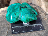 Polished Flower Banded Malachite Free Forms x 6 From Congo - Toprock Gemstones and Minerals 