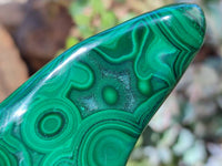 Polished Flower Banded Malachite Free Forms x 6 From Congo - Toprock Gemstones and Minerals 