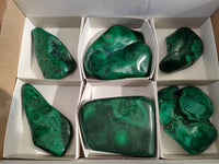Polished Flower Banded Malachite Free Forms x 6 From Congo - Toprock Gemstones and Minerals 