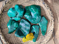 Polished Flower Banded Malachite Free Forms x 6 From Congo - Toprock Gemstones and Minerals 