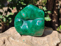 Polished Flower Banded Malachite Free Forms x 6 From Congo - Toprock Gemstones and Minerals 