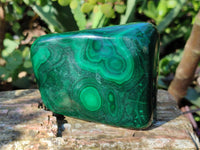 Polished Flower Banded Malachite Free Forms x 6 From Congo - Toprock Gemstones and Minerals 
