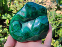 Polished Flower Banded Malachite Free Forms x 6 From Congo - Toprock Gemstones and Minerals 