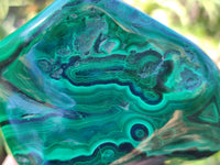 Polished Flower Banded Malachite Free Forms x 6 From Congo - Toprock Gemstones and Minerals 