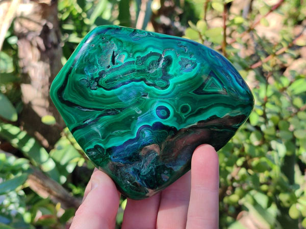 Polished Flower Banded Malachite Free Forms x 6 From Congo - Toprock Gemstones and Minerals 